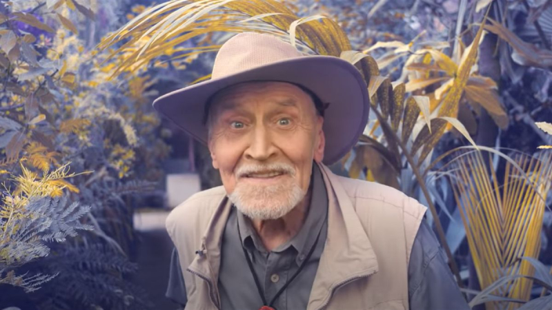 Дом Николая Дроздова: как живет ведущий программы «В мире животных»