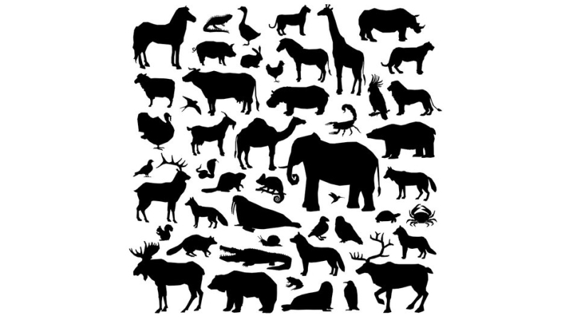 Фотозагадка: никто не может найти на картинке льва