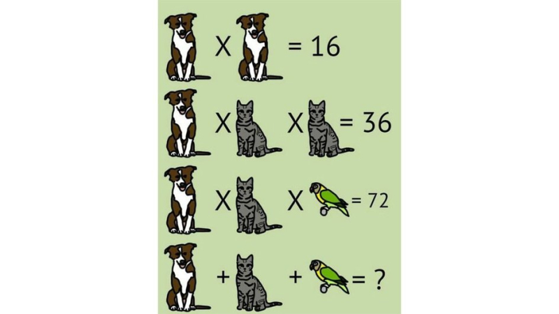 Фотозагадка: подберите числа и раскройте секрет кошек, собак и попугаев