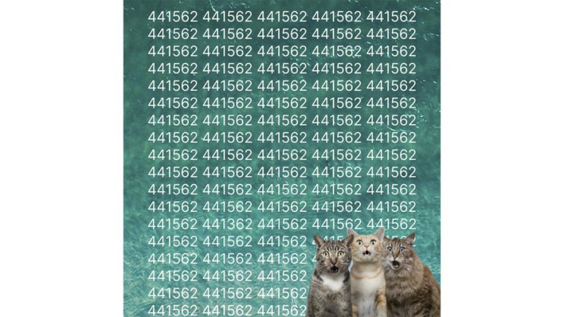 Фотозагадка про цифру 3: если увидите ее за 5 секунд, ваш мозг работает на 200%