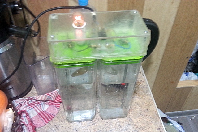 Ионизатор воды своими руками: делаем из доступных предметов со схемой