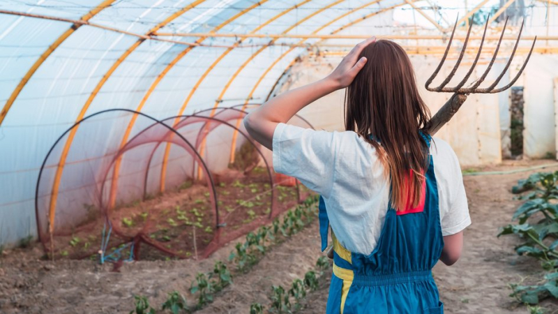 Как правильно подготовить теплицу к весенним посадкам: 5 правил наведения порядка в парнике