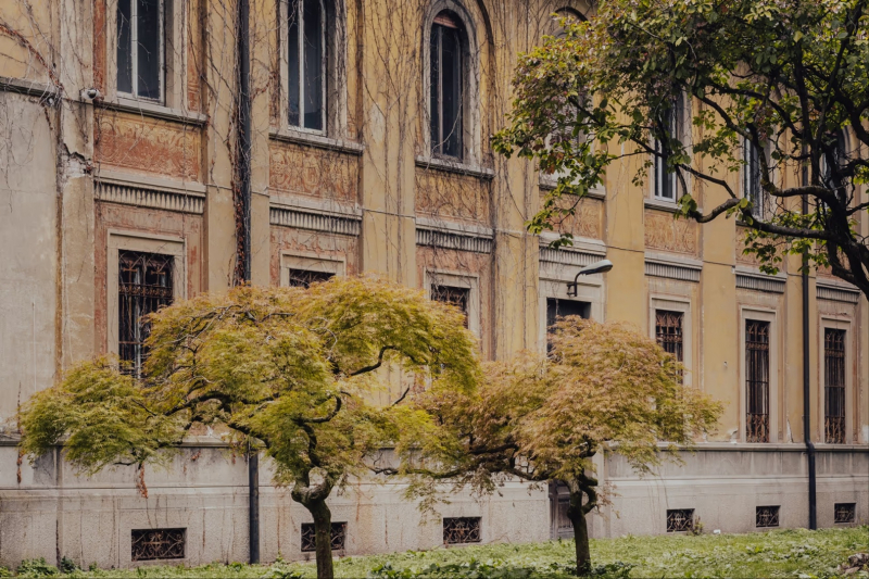 Выставка Alcova объявила участников 11-го издания