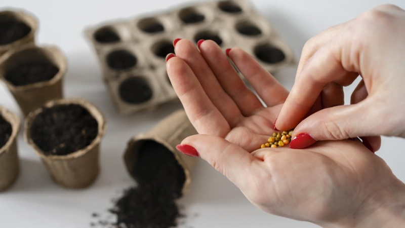 Семена на ветер: 5 распространенных промахов при выборе и покупке посевного материала