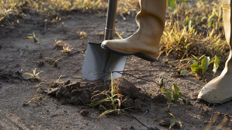 Топ-5 весенних дел на приусадебном участке, которые не только не приносят пользы, но и могут лишить вас урожая