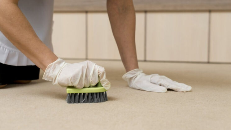 Возвращаем ковролину первозданный вид: эффективные методы борьбы с пятнами в домашних условиях