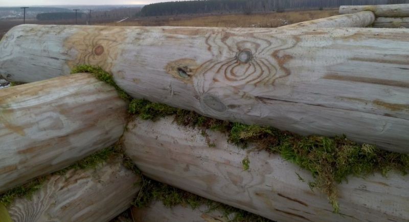 Мох или джут выбрать для утепления сруба?