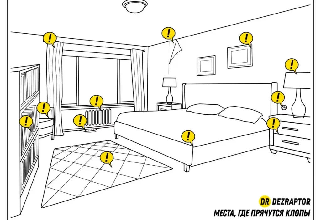 Лучшие народные средства от постельных клопов! 💯 Проверенные годами!