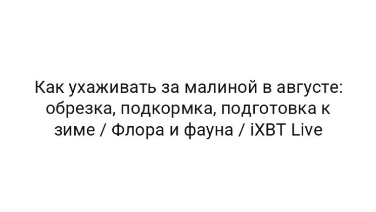 Как ухаживать за малиной в августе: обрезка, подкормка, подготовка к зиме / Флора и фауна / iXBT Live